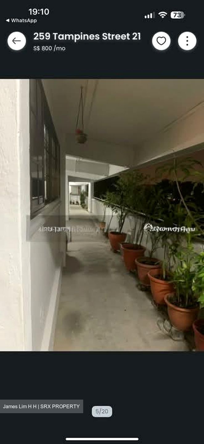 Blk 259 Tampines Street 21 (Tampines), HDB 4 Rooms #541993981